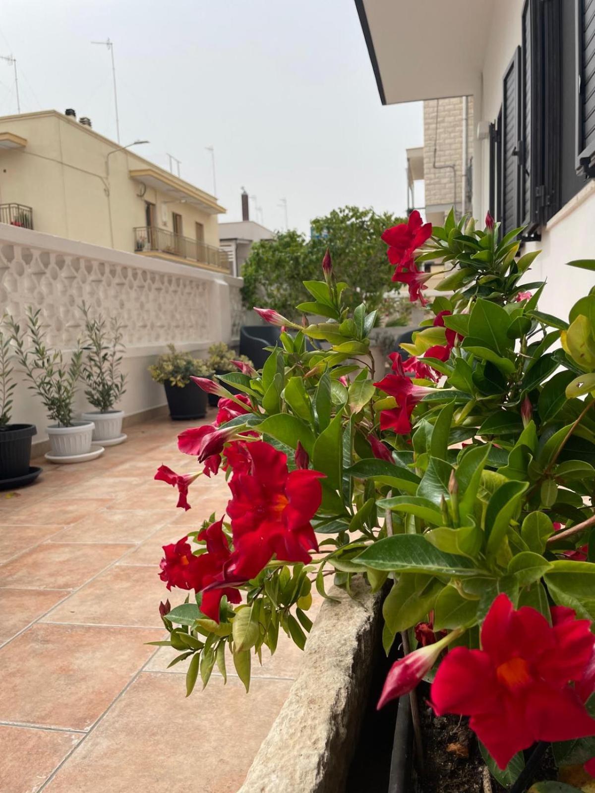 Rosa Dei Venti Villa Polignano a Mare Exteriör bild